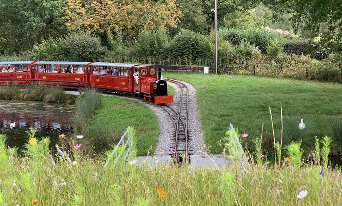Mini Railway